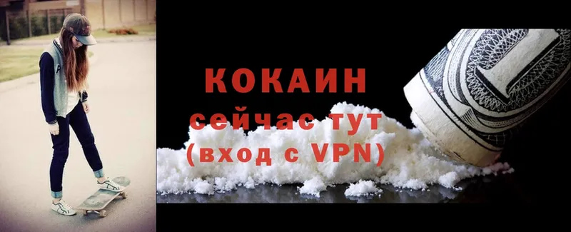 Cocaine VHQ  ссылка на мегу сайт  Каменск-Шахтинский 